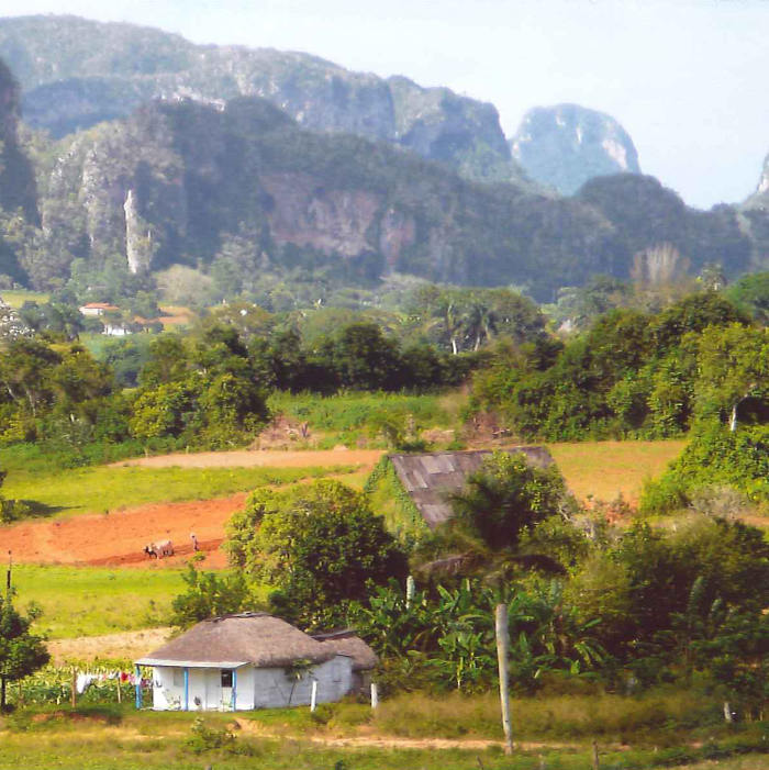 Vinales Vinales