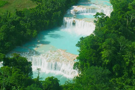 Agaua Azul Chiapas