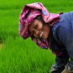 actu-jaipur-voyage_voyage-indonesie-bonnafe-1