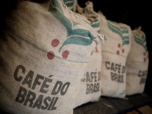 visite d'une plantation de café, vassouras