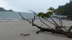 Plage ManuelAntonio