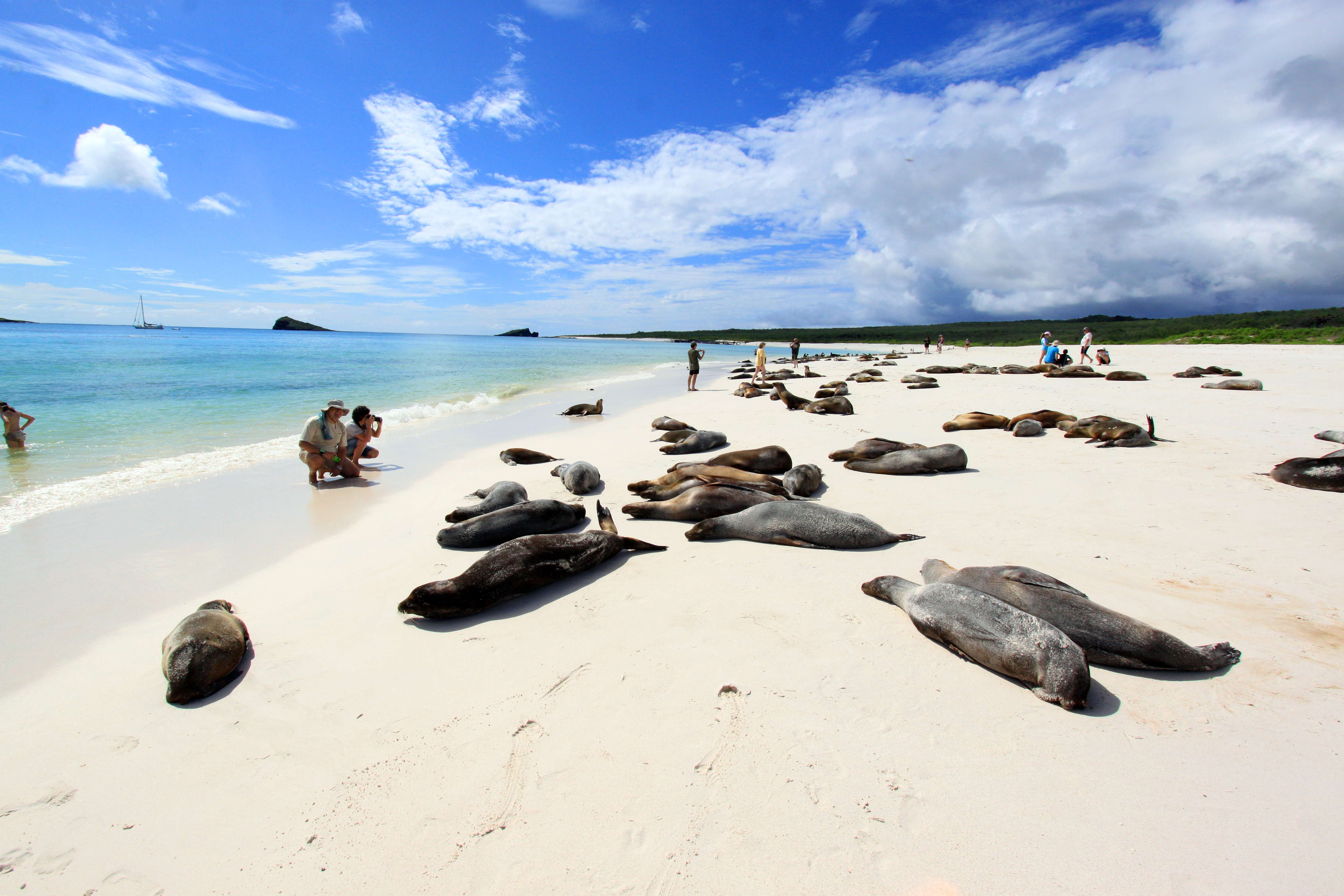 galapagos tourisme