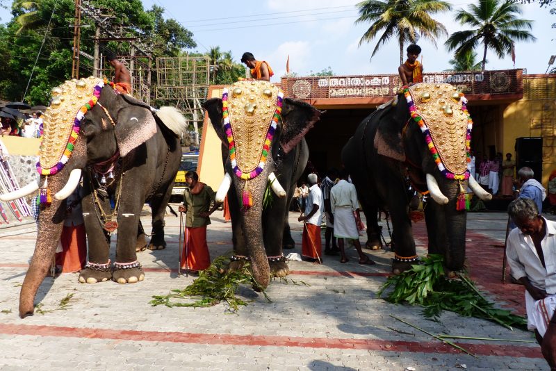 Le festival de Puram