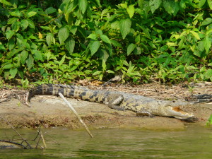 Balade en bateau sur le fleuve Tzendales