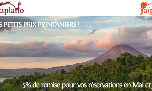 Bandeau-Titre-newsletter