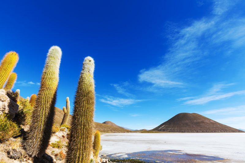 Salar de uyuni, ile du pecehur - Fotolia