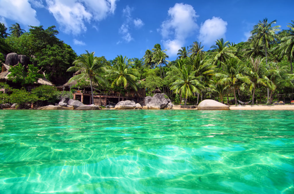 Tropical Paradise - lovely romantic beach view