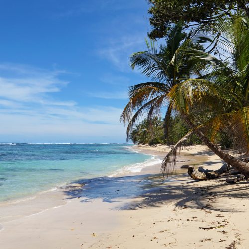 Wild sandy beach with an islet