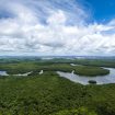 Aerial Shot of Amazon rainforest in Brazil, South America