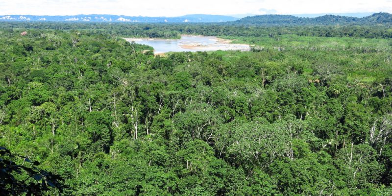 Parc National de Madidi en Bolivie - Fotolia Toniflap