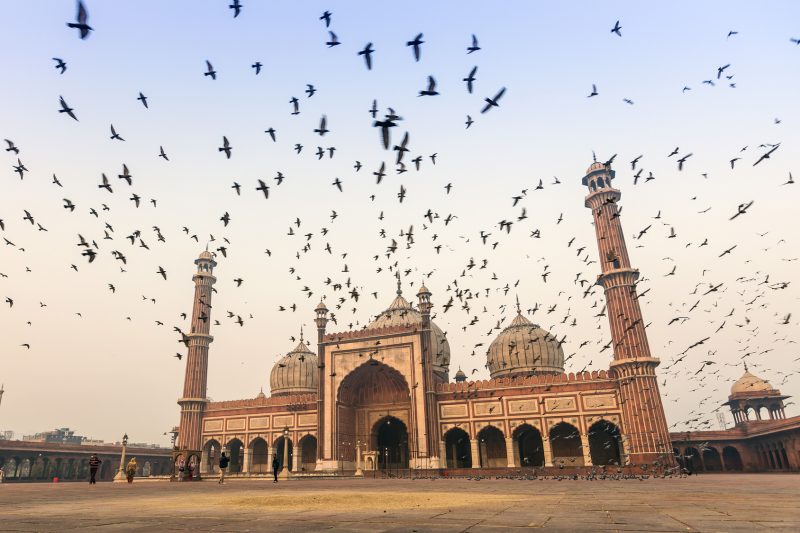 Jama Masjid, Vieux Delhi, Inde