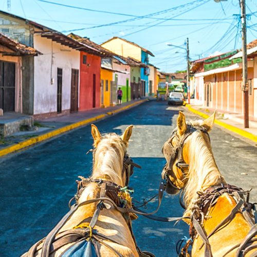 Cheval Nicaragua