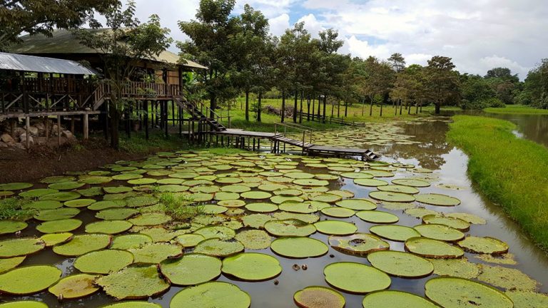 Sensation De Partir Quand Je M'endors Une expérience inoubliable en Amazonie colombienne #2
