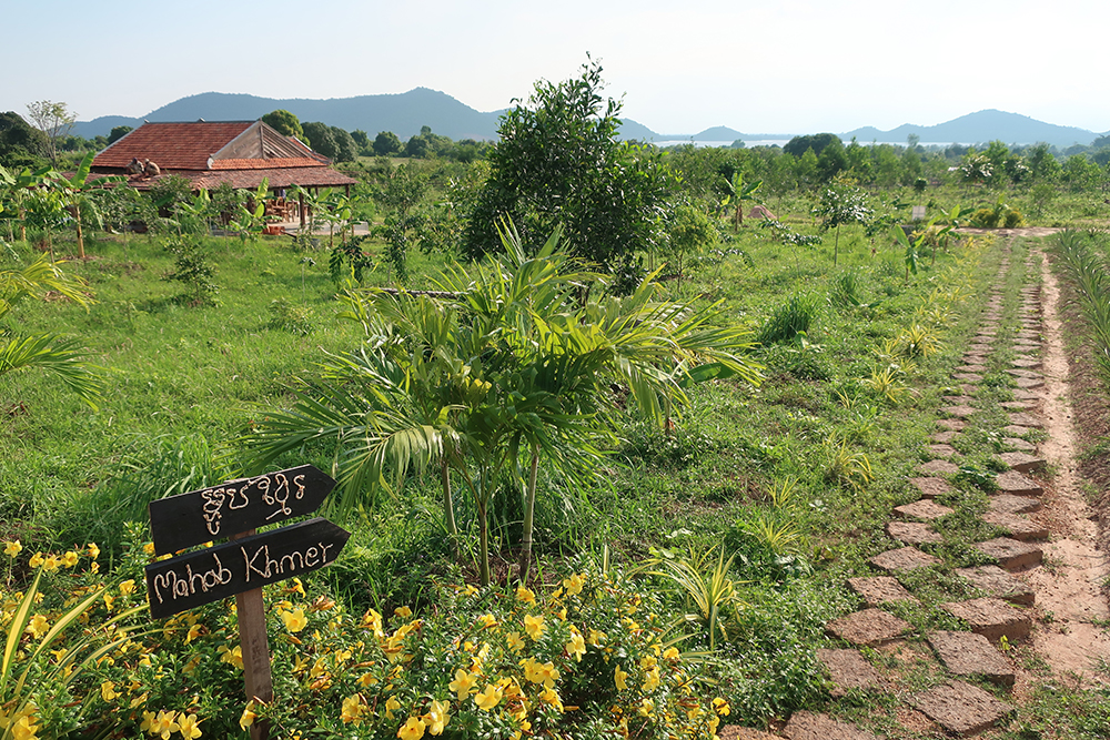 kompot voyage sur mesure poivrier