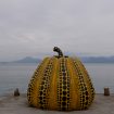 Yellow pumpkin, Naoshima