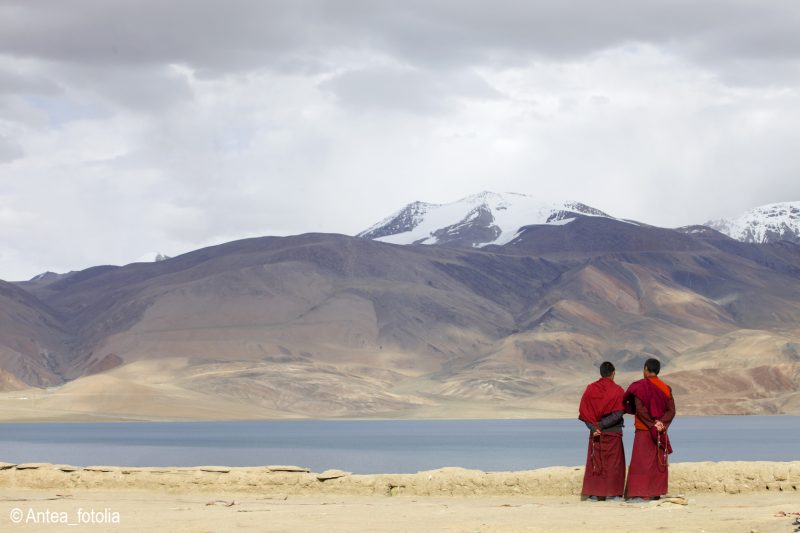 Moines au Ladakh en Inde