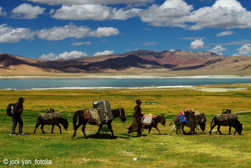 Nomades au Ladakh