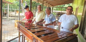Marimba instrument costa rica