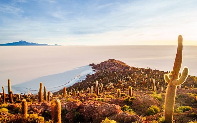Salar d'Uyuni Ile Incahuasi Bolivie