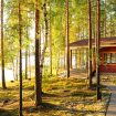 Cottage Finlande