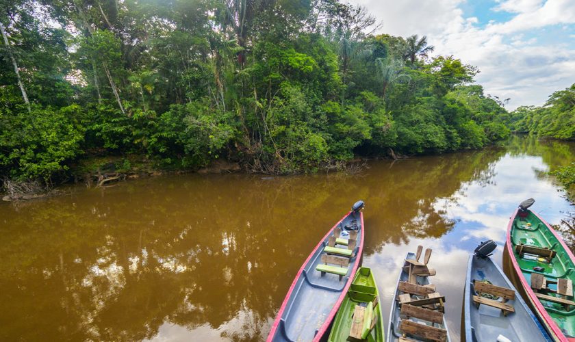 Cuyabeno Equateur