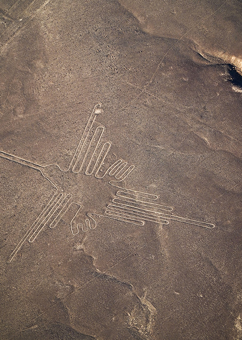 Condor à Nazca
