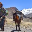 Visiter les Andes