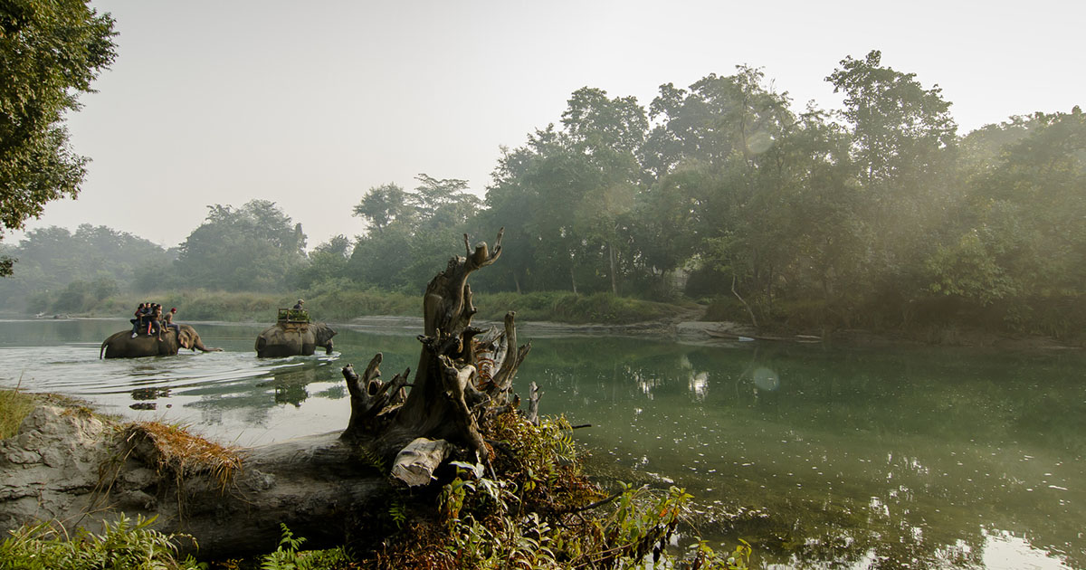 Safari Parc national de Bardiya