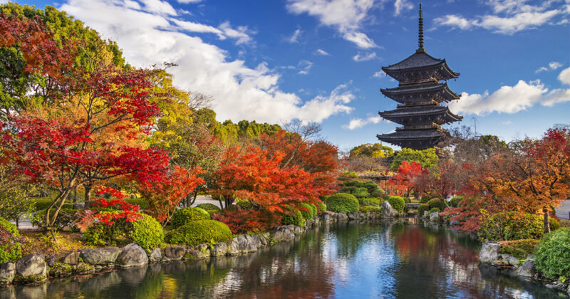 couleurs d'automne au Japon