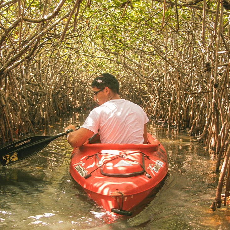 Belize plongée