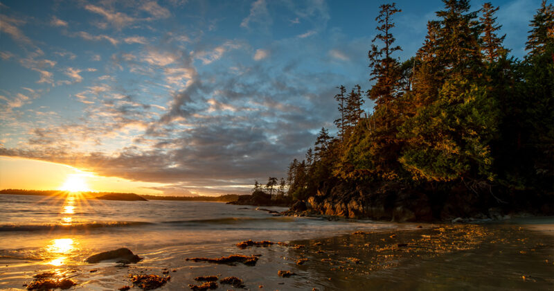 Plages de Tofino