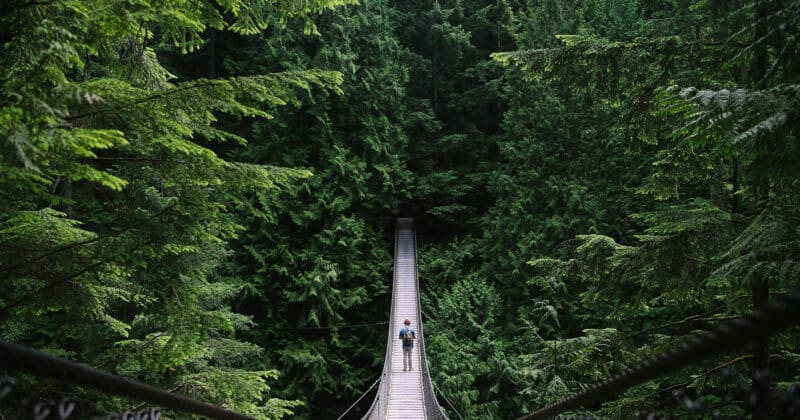 Capilano bridge proche de Vancouver