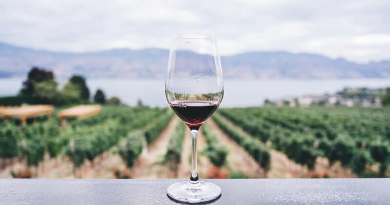 L'Okanagan Valley 