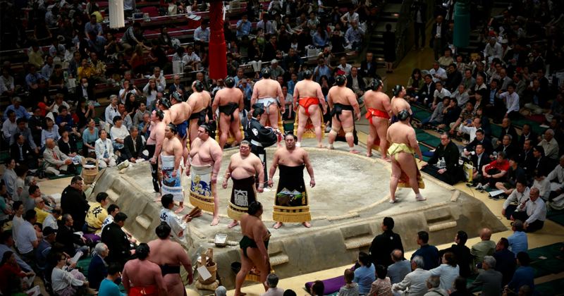 Combat de sumo