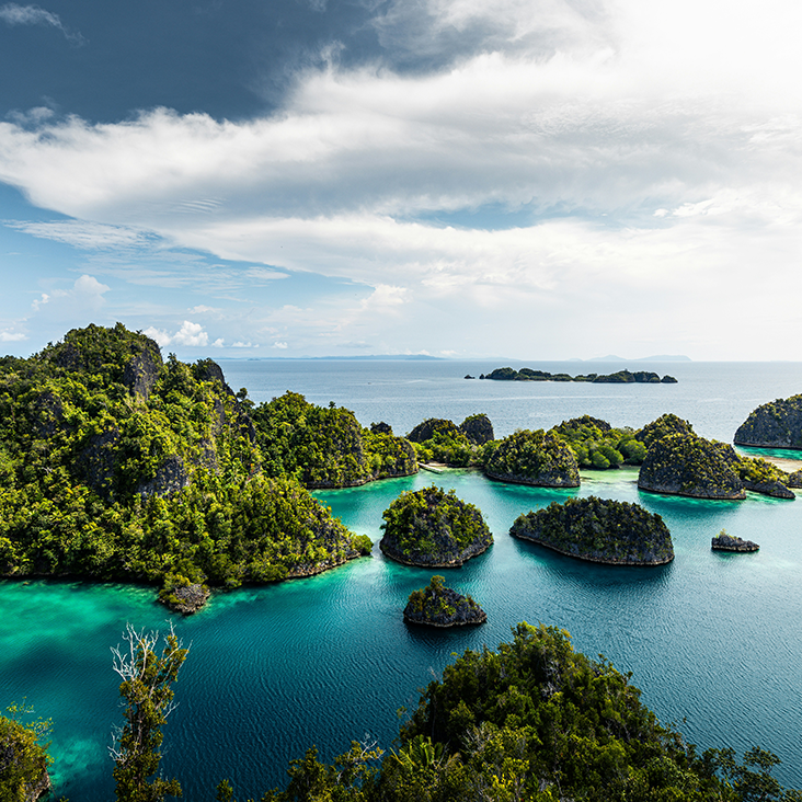 Îles Raja Ampat, Indonésie