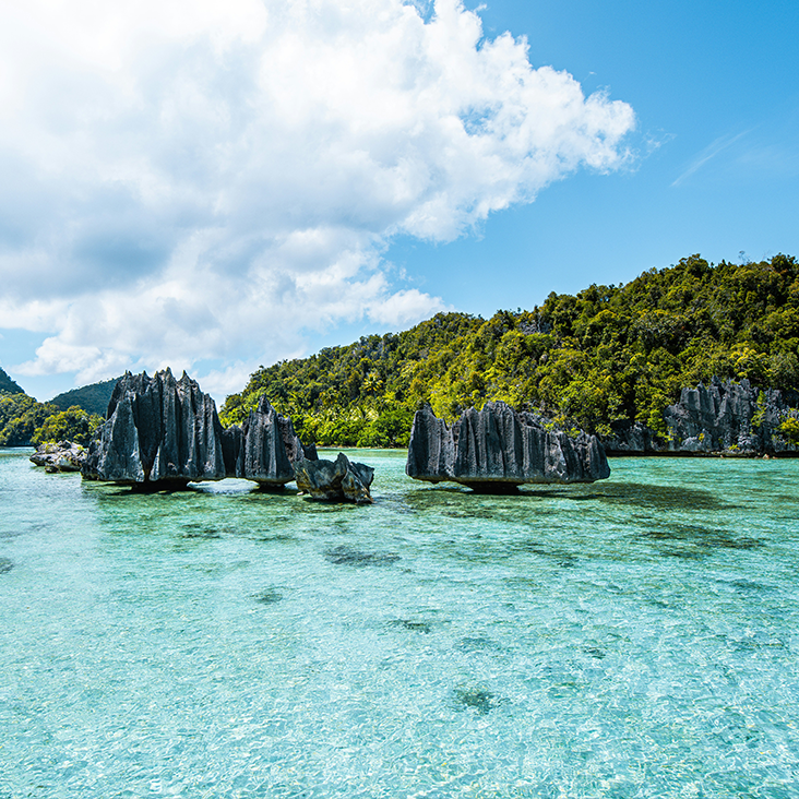 Îles Raja Ampat, Indonésie