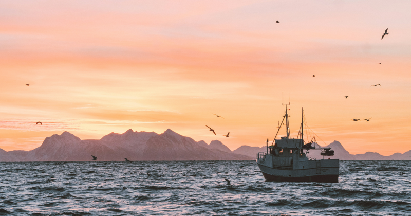 Andøya, Norvège