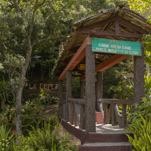 honduras 1