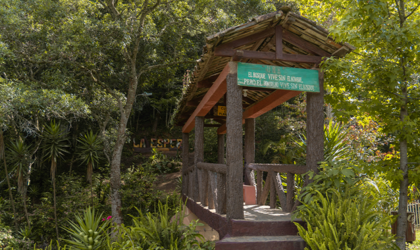 honduras 1