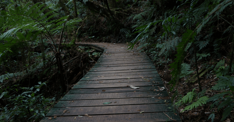 La Tigra, Honduras
