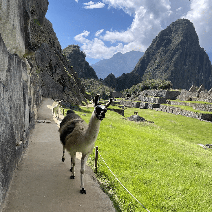 Machu Picchu, Pérou