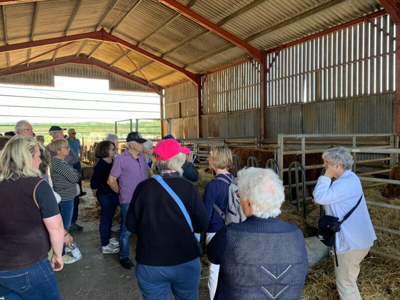 Visite de ferme