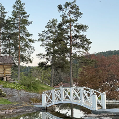 Corps article – norvege