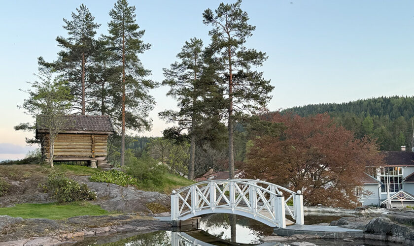 Corps article – norvege