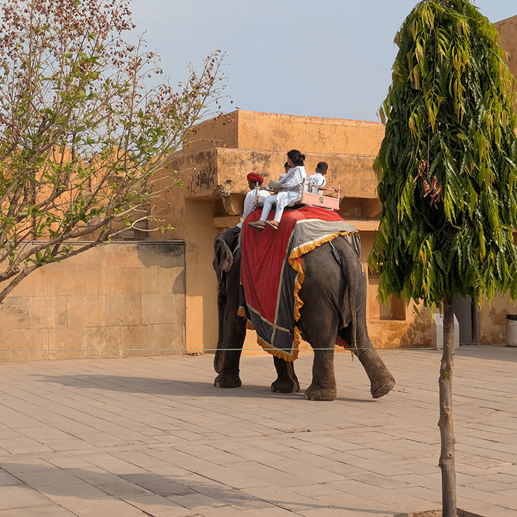Jaipur
