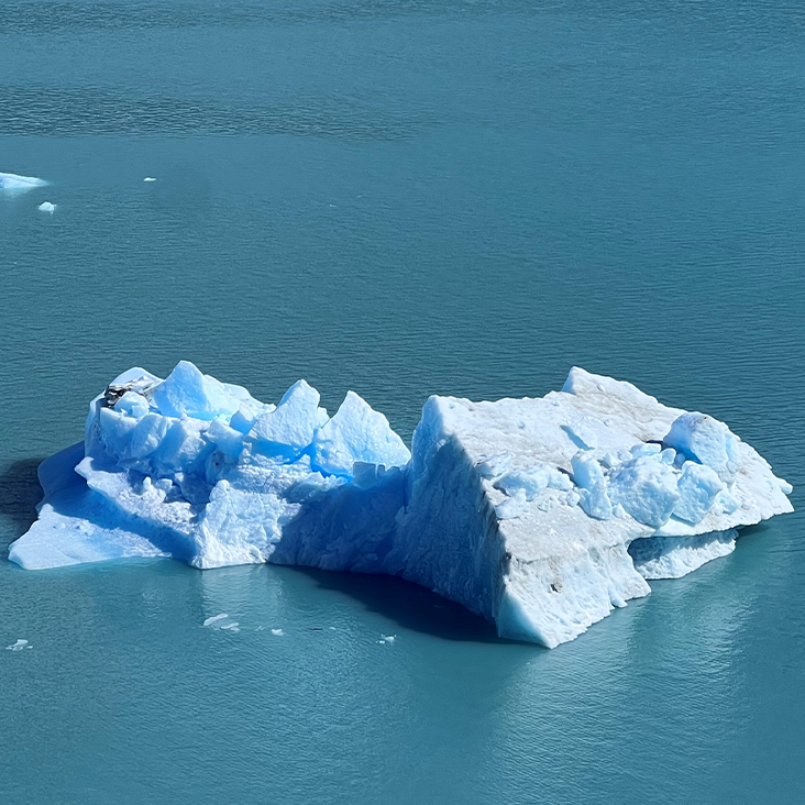 El Calafate