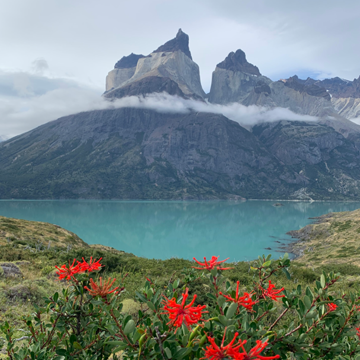 Torres del Paine