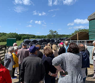 Visite de ferme en Ecosse